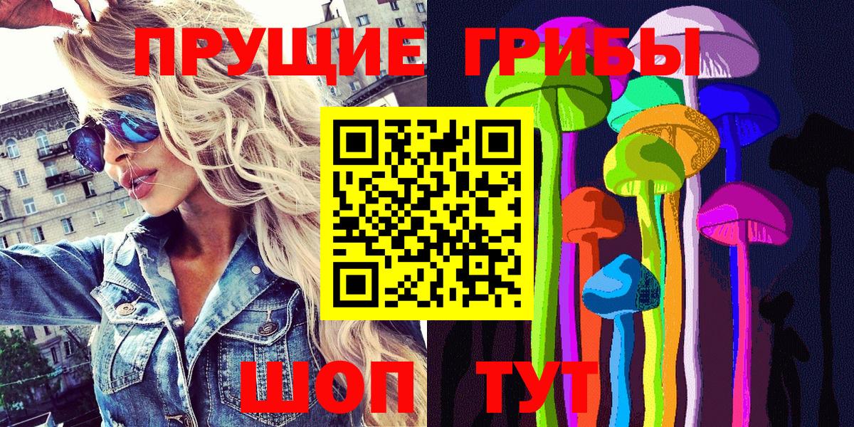 Псилоцибиновые грибы Cubensis  купить наркоту  Новоалександровск  Вход с VPN 